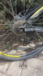 IMG-20230411-WA0001.jpeg IMG-20230411-WA0001.jpeg