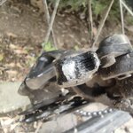 IMG_20230411_141612.jpg IMG_20230411_141612.jpg