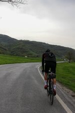 IMG_2964.jpg