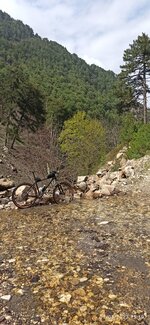 IMG_20230507_151958.jpg IMG_20230507_151958.jpg