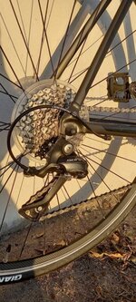 20221030_173156.jpg 20221030_173156.jpg