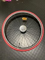 WhatsApp Image 2023-05-18 at 11.29.23 (5).jpeg WhatsApp Image 2023-05-18 at 11.29.23 (5).jpeg