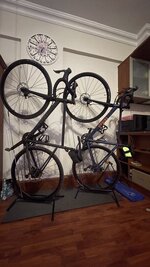 IMG_5006.jpeg