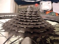 20230530_212026.jpg 20230530_212026.jpg