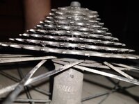 20230530_212310.jpg 20230530_212310.jpg