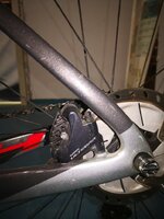 IMG_20230419_081910.jpg