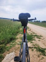 20230609_145711 copy.jpg 20230609_145711 copy.jpg