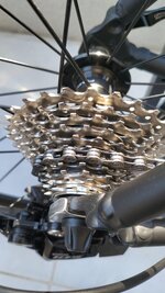 IMG-20230610-WA0009.jpeg IMG-20230610-WA0009.jpeg