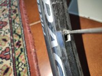 IMG_20230612_165653.jpg