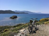 IMG_9768.jpeg