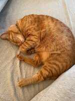 WhatsApp Image 2023-06-26 at 09.01.02 (1).jpeg