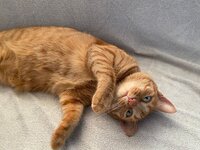 WhatsApp Image 2023-06-26 at 09.01.02.jpeg