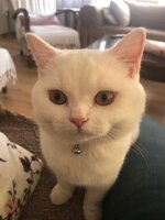 WhatsApp Görsel 2023-07-02 saat 11.46.38.jpg