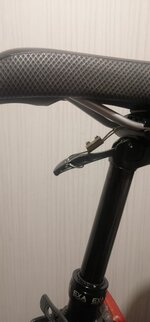 IMG_20230712_032112.jpg IMG_20230712_032112.jpg