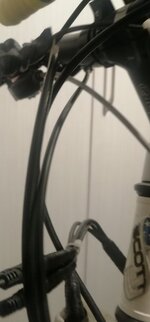 IMG_20230712_032236.jpg IMG_20230712_032236.jpg