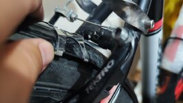 IMG_20230715_230151.jpg IMG_20230715_230151.jpg