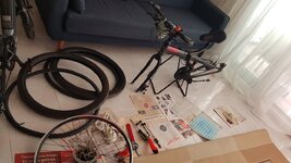 Mosso marine 26 2d.jpg