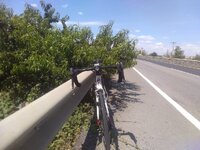 IMG_20230812_123704.jpg