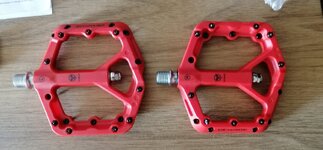 IMG_20230812_165420.jpg IMG_20230812_165420.jpg