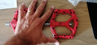 IMG_20230812_165437.jpg IMG_20230812_165437.jpg