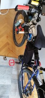 IMG_20230812_170959.jpg IMG_20230812_170959.jpg