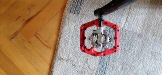 IMG_20230812_171009.jpg IMG_20230812_171009.jpg