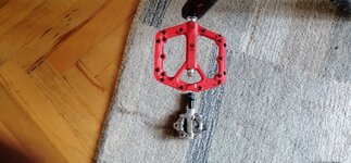 IMG_20230812_171014.jpg IMG_20230812_171014.jpg