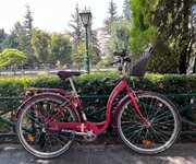 WhatsApp Image 2023-08-14 at 12.03.30.jpeg WhatsApp Image 2023-08-14 at 12.03.30.jpeg