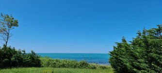 20230610_135902.jpg 20230610_135902.jpg