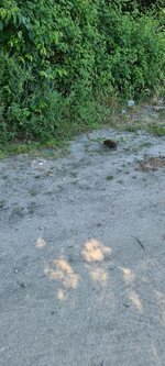 20230610_163151.jpg 20230610_163151.jpg