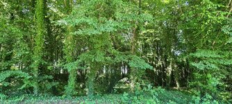 20230610_164945.jpg 20230610_164945.jpg