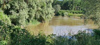 20230610_170422.jpg 20230610_170422.jpg