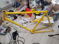 20230828_130032.jpg 20230828_130032.jpg