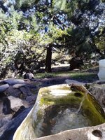 WhatsApp Image 2022-09-19 at 11.29.20.jpeg