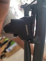 WhatsApp Image 2023-09-27 at 10.12.37.jpeg