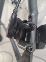 WhatsApp Image 2023-09-27 at 10.12.36.jpeg