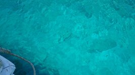 DSC_0241.JPG DSC_0241.JPG