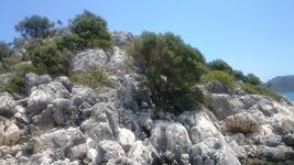 DSC_0286.JPG DSC_0286.JPG