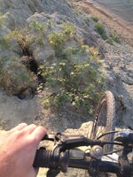 IMG_1880.JPG IMG_1880.JPG