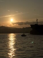 WhatsApp Image 2023-10-06 at 11.00.28.jpeg