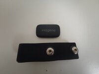 IMG_20231023_172828.jpg IMG_20231023_172828.jpg