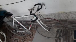 20231029_155733.jpg