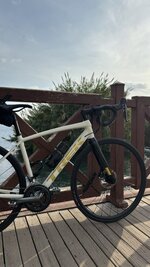 IMG_7560.jpeg