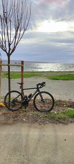 IMG_20231125_095744.jpg