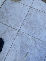 IMG_5418.jpeg