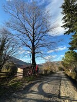 WhatsApp Image 2023-12-27 at 16.08.25.jpeg