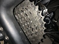 IMG_8021.jpeg