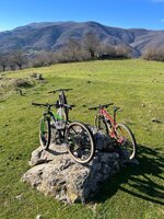 WhatsApp Image 2024-01-08 at 10.26.29 (4).jpeg