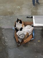 IMG_20231209_103306.jpg