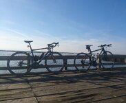 WhatsApp Image 2024-01-16 at 08.38.38sdsds.jpeg